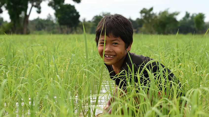 Gracias Camboya - Clínica Dental Rehberger-López Fanjul