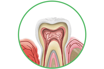 Periodoncia Clínica Rehberger López-Fanjul Oviedo